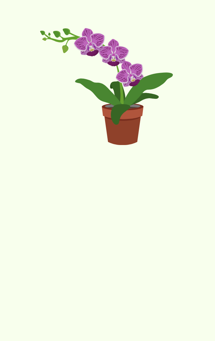 potted orchid graphic